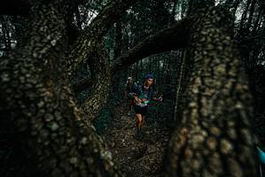 BIB: 
                            <button type="button" onclick="openModal(25691106)" class="btn btn-primary btn-sm float-right btn-popup" data-toggle="modal" data-target=".modal-high-quality">
                        <i class="fas fa-shopping-cart"></i> Add to Cart
                    </button>
                                            <button type="button" onclick="isThisMe(25691106, true)" class="btn btn-success btn-sm float-right btn-popup btn-isme hidden" data-toggle="tooltip" data-placement="bottom" title="นี่คือรูปของคุณใช่ไหม คลิกที่นี่เพื่อเอาเข้าอัลบั้ม">
                        <i class="fas fa-plus"></i> Add to album
                    </button>
                    <button type="button" onclick="isThisMe(25691106, false)" class="btn btn-warning btn-sm float-right btn-popup btn-isnotme hidden">
                        <i class="fas fa-ban"></i> Remove from album
                    </button>